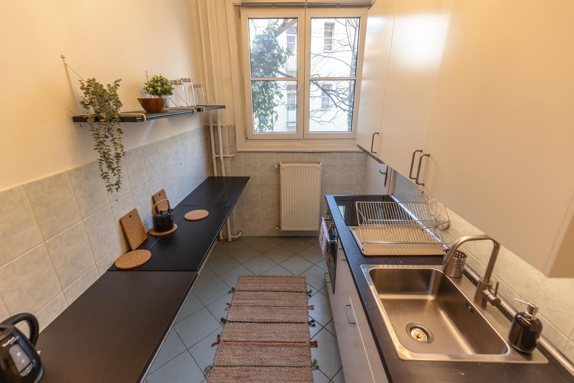 Bright & Spacious Riverside With Balcony Boedapest